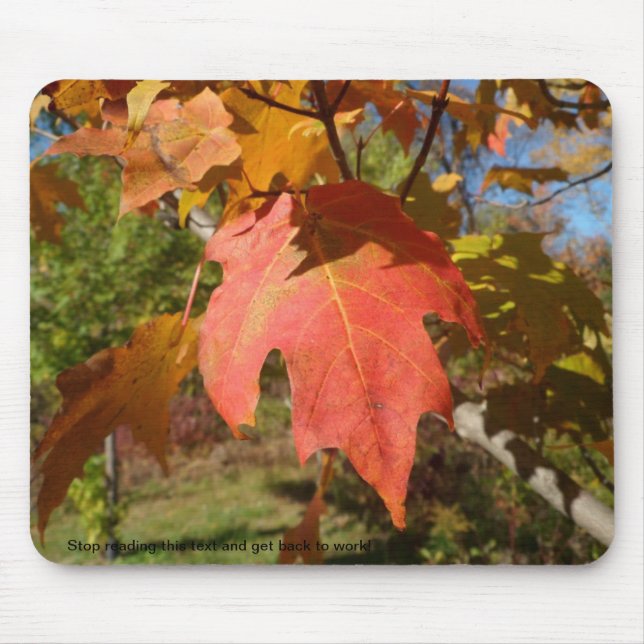 Alfombrilla De Ratón Mousepad descarado de la naturaleza (Frente)