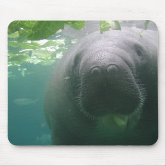Alfombrilla De Ratón Mousepad descuidado del Manatee