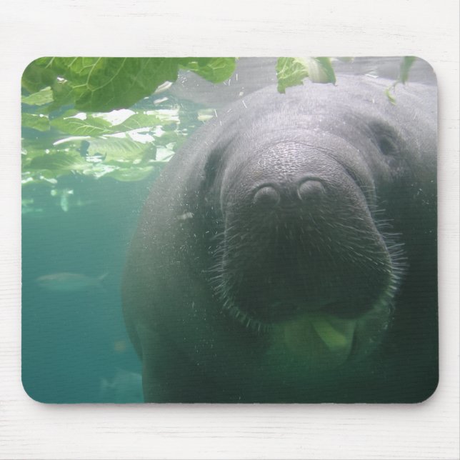 Alfombrilla De Ratón Mousepad descuidado del Manatee (Frente)