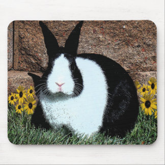 Alfombrilla De Ratón Mousepad digital de las ilustraciones del conejo