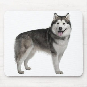 Alfombrilla De Ratón Mousepad, el perro cachorro de Alaska Malamute