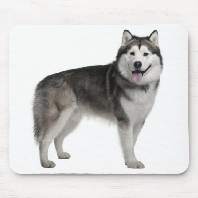 Alfombrilla De Ratón Mousepad, el perro cachorro de Alaska Malamute (Frente)