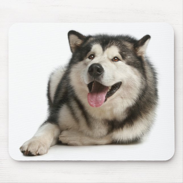 Alfombrilla De Ratón Mousepad, el perro cachorro de Alaska Malamute (Frente)