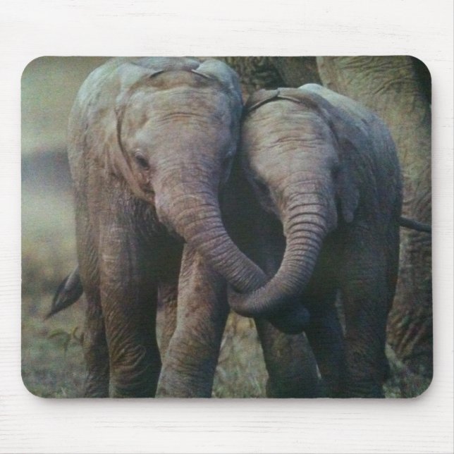 ALFOMBRILLA DE RATÓN MOUSEPAD ELEFANTE AMOR DE PAREJA (Frente)