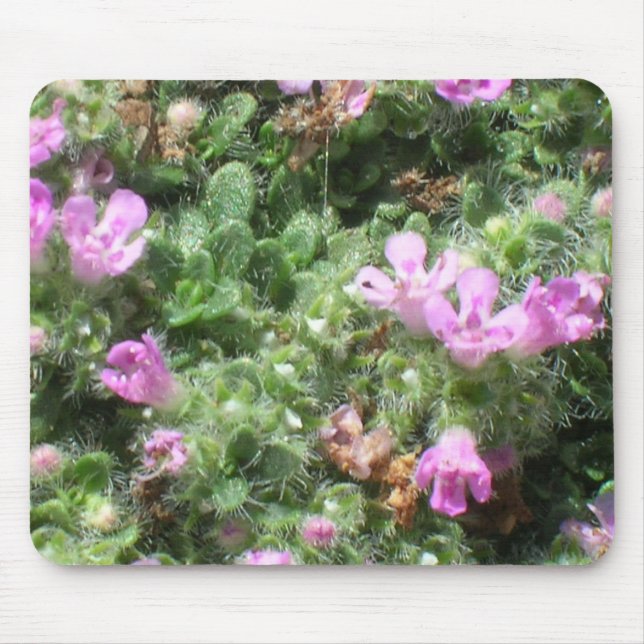 Alfombrilla De Ratón Mousepad - Elfin thyme (Frente)