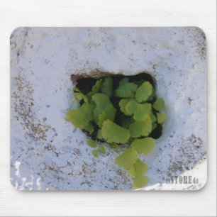 Alfombrilla De Ratón Mousepad exclusivo - pared 044