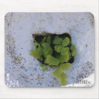 Alfombrilla De Ratón Mousepad exclusivo - pared 044