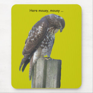 Alfombrilla De Ratón Mousepad - Falcon