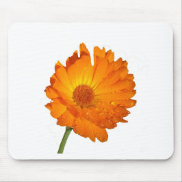 Alfombrilla De Ratón Mousepad - Flor Naranja sobre el stem