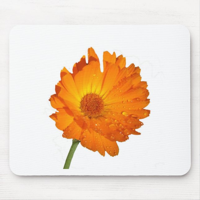 Alfombrilla De Ratón Mousepad - Flor Naranja sobre el stem (Frente)