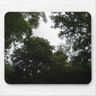 Alfombrilla De Ratón Mousepad Forestal