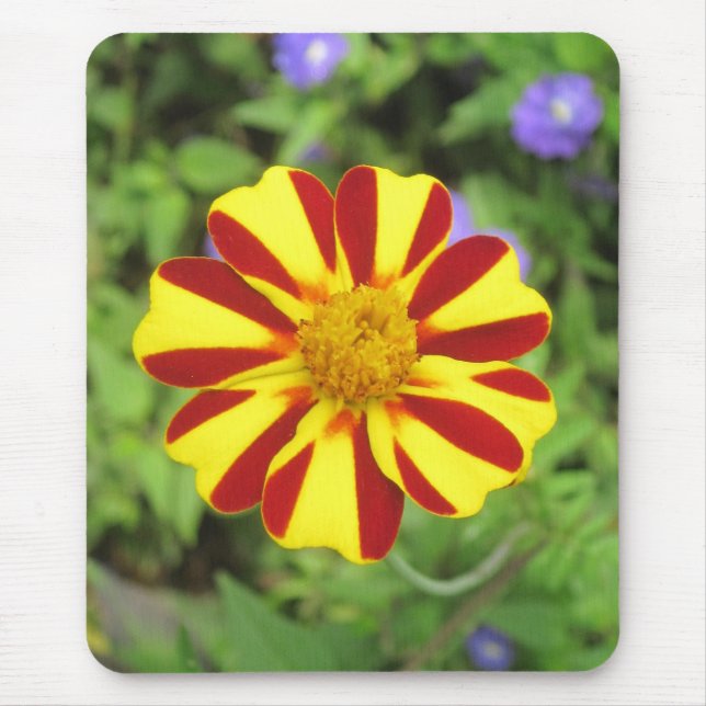 Alfombrilla De Ratón Mousepad fotográfico marrón francés a rayas (Frente)