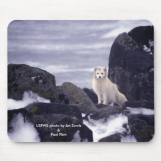 Alfombrilla De Ratón Mousepad/Fox ártico