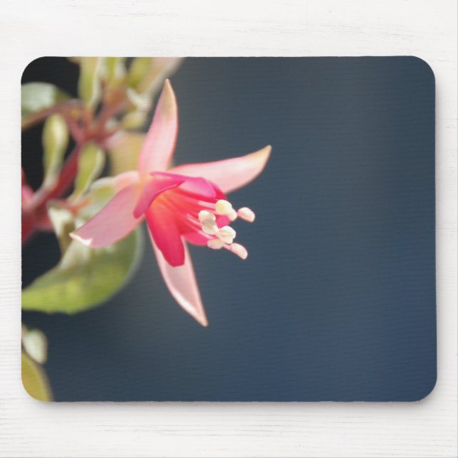 Alfombrilla De Ratón Mousepad fucsia rosado (Frente)