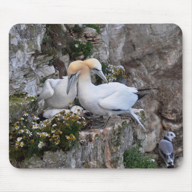 Alfombrilla De Ratón Mousepad: Gannets y flores (Frente)