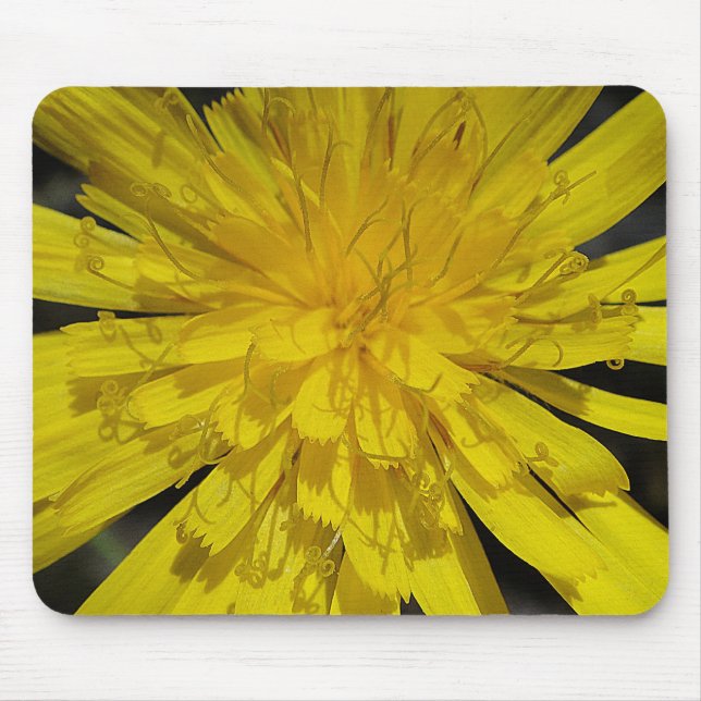 Alfombrilla De Ratón Mousepad gelbes Blütenzentrum (Frente)