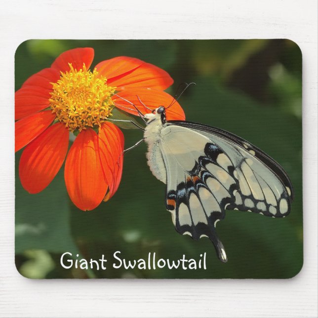 Alfombrilla De Ratón Mousepad gigante de Swallowtail (Frente)