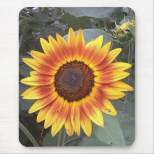Alfombrilla De Ratón Mousepad girasol