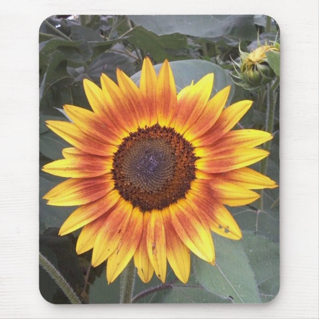 Alfombrilla De Ratón Mousepad girasol (Frente)