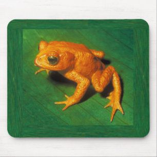 Alfombrilla De Ratón Mousepad Golden Toad
