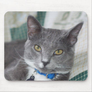Alfombrilla De Ratón mousepad gris del gato de tabby
