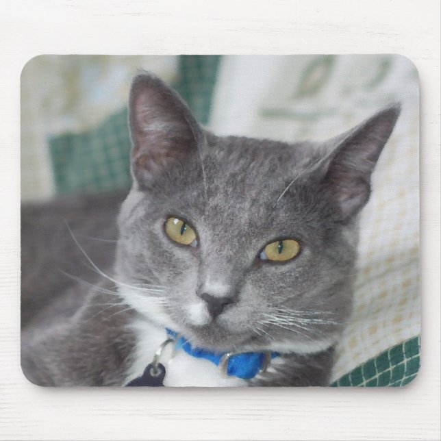 Alfombrilla De Ratón mousepad gris del gato de tabby (Frente)