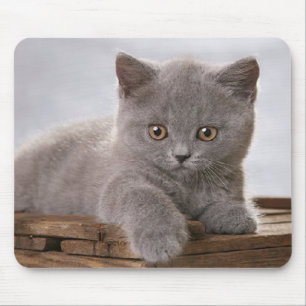 Alfombrilla De Ratón mousepad gris lindo del gatito