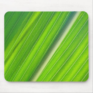 Alfombrilla De Ratón Mousepad hellgrünes Maisblattdesign
