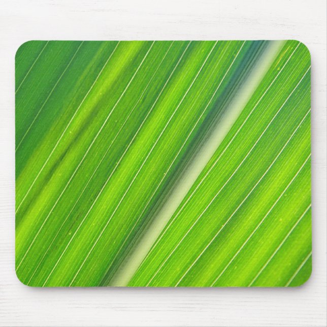 Alfombrilla De Ratón Mousepad hellgrünes Maisblattdesign (Frente)