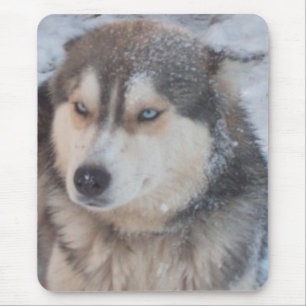 Alfombrilla De Ratón Mousepad Husky Blue Eyes
