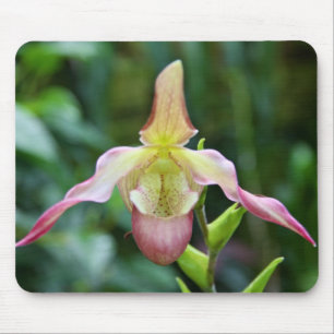 Alfombrilla De Ratón Mousepad - Ladyslipper