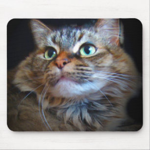 Alfombrilla De Ratón mousepad libby del gato