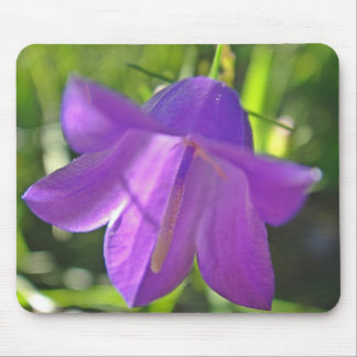 Alfombrilla De Ratón Mousepad lila Glockenblume