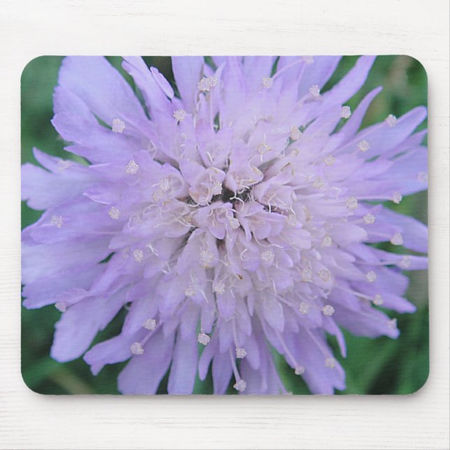 Alfombrilla De Ratón Mousepad lila Scabiosa (Frente)