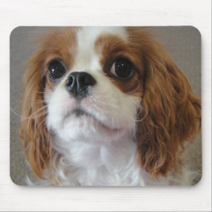 Alfombrilla De Ratón Mousepad lindo arrogante del perro de perrito de
