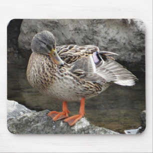 Alfombrilla De Ratón Mousepad lindo pato marrón entre rocas grises
