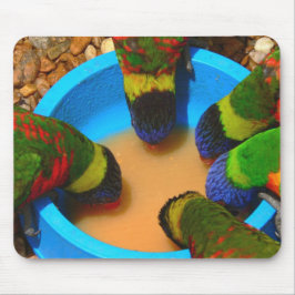 Alfombrilla De Ratón Mousepad, Lorikeets