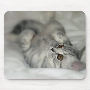 Alfombrilla De Ratón Mousepad manchado plata del gatito