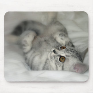 Alfombrilla De Ratón Mousepad manchado plata del gatito