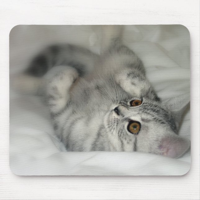 Alfombrilla De Ratón Mousepad manchado plata del gatito (Frente)