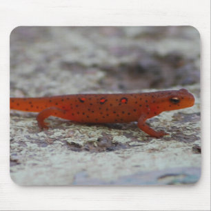 Alfombrilla De Ratón Mousepad manchado rojo del Newt