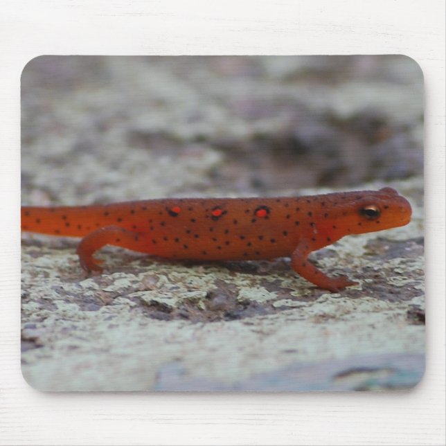 Alfombrilla De Ratón Mousepad manchado rojo del Newt (Frente)