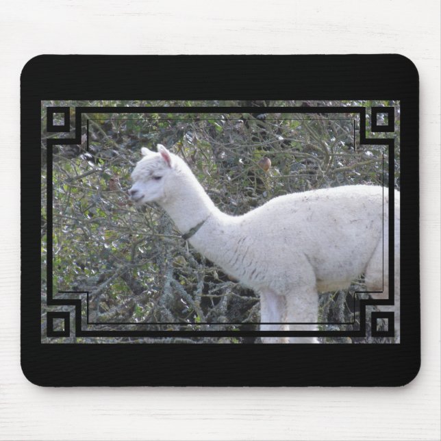 Alfombrilla De Ratón Mousepad - Marco para su imagen (Frente)