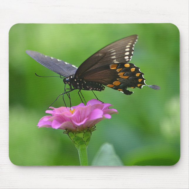 Alfombrilla De Ratón Mousepad mariposa (Frente)