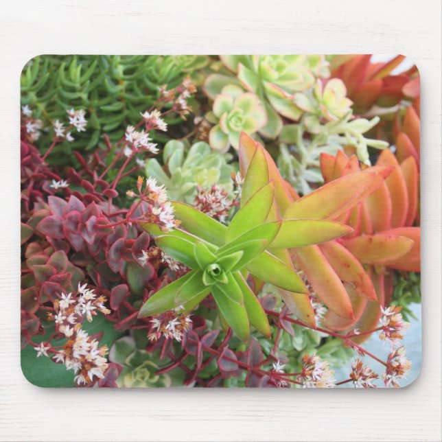 Alfombrilla De Ratón Mousepad mezclado de los succulents (Frente)