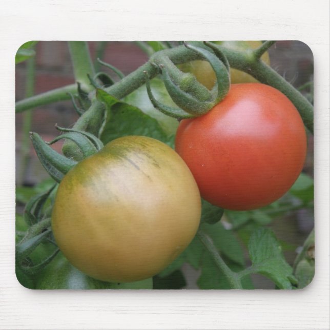 Alfombrilla De Ratón Mousepad naranja y tomates rojos (Frente)