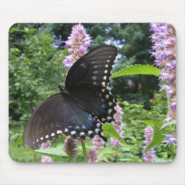 Alfombrilla De Ratón Mousepad negro del ~ de Swallowtail 69 (Frente)