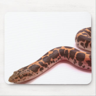 Alfombrilla De Ratón Mousepad normal de la boa de la arena del Kenyan