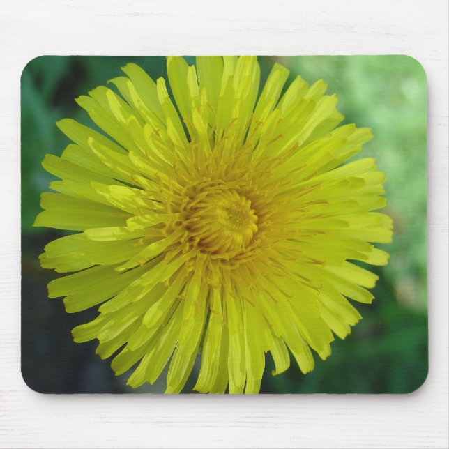 Alfombrilla De Ratón Mousepad o Mousemat - Dandelion (Frente)
