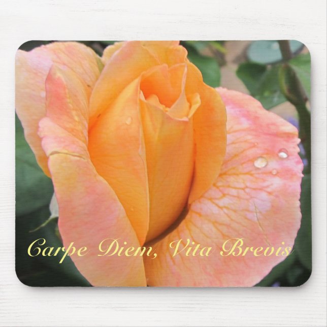 Alfombrilla De Ratón Mousepad--Orange Rose With Raindrops (Frente)